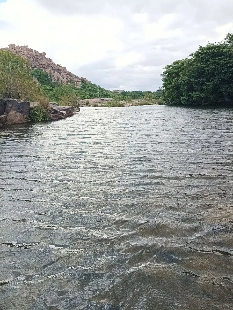 Seeemingly standing in the middle of the river